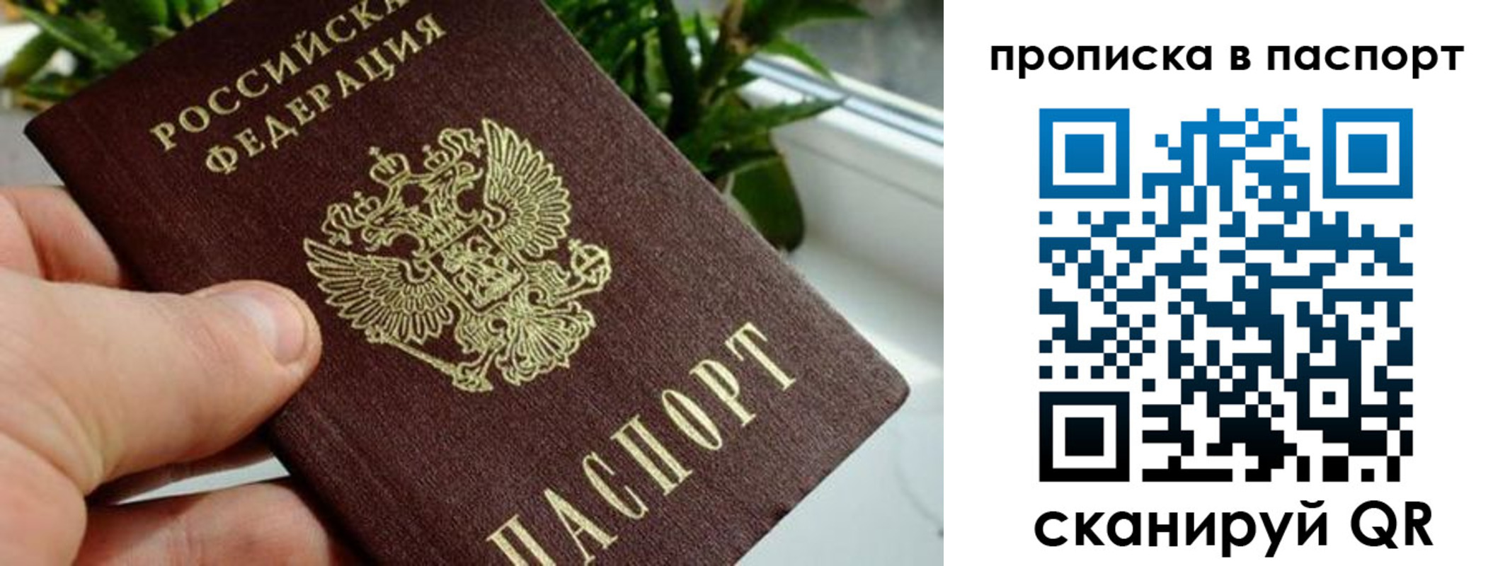 пропишу в квартире в Приволжске